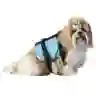 https://cdnsptb.sportbay.com.br/produtos/nautica/COLETE-PET-PRO-TORK-AZUL1-126075.webp
